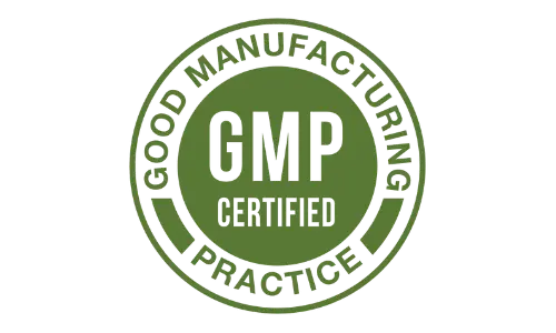 neuro brain gmp certified